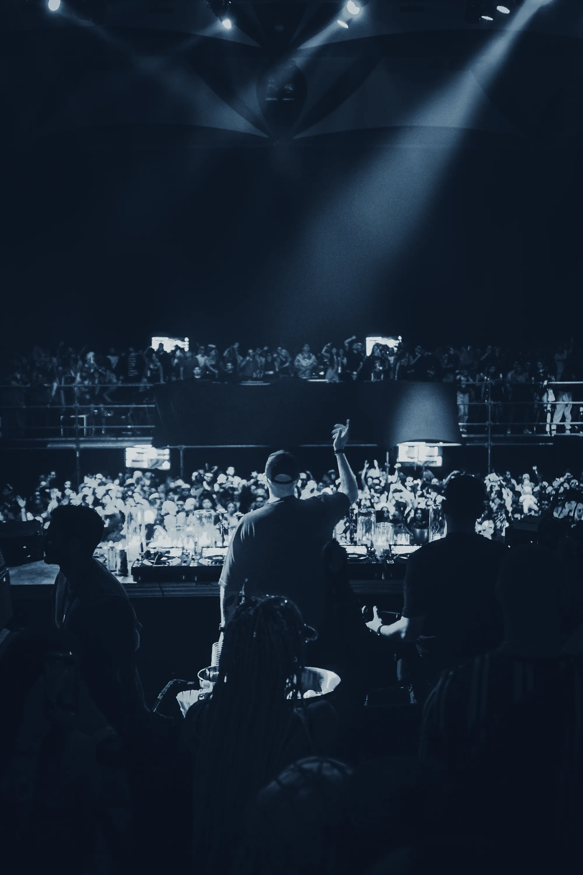 Electric Animals gallery 5