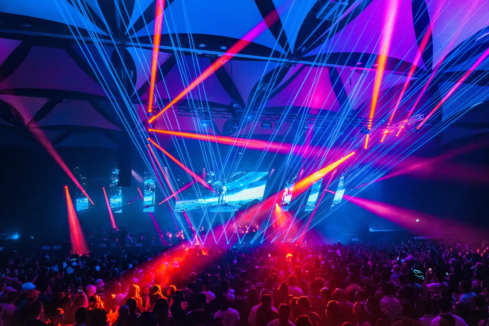 Electric Animals gallery 6