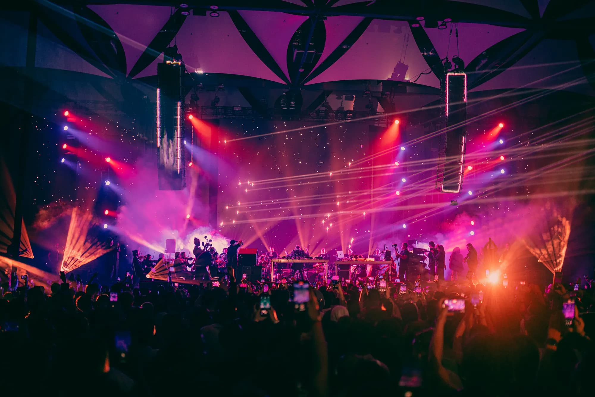 Electric Animals gallery 7