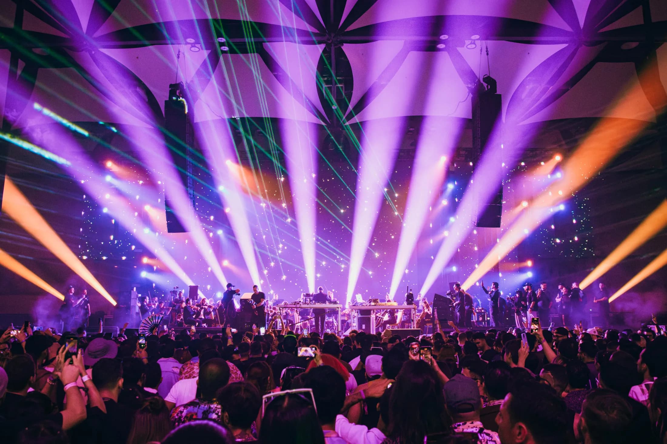 Electric Animals festival