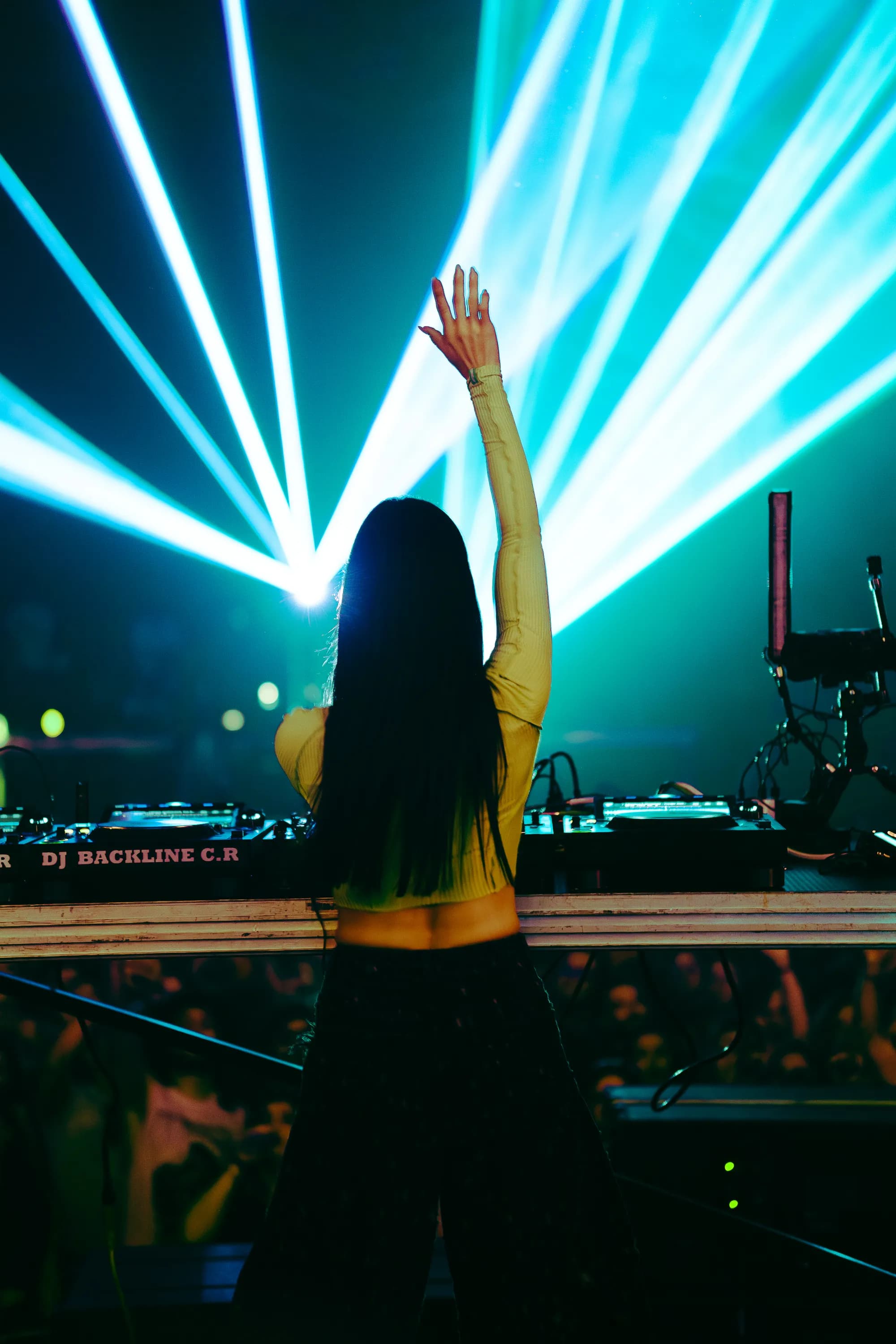 Electric Animals festival